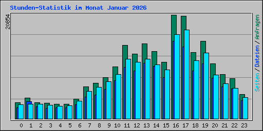 Stunden-Statistik im Monat Januar 2026